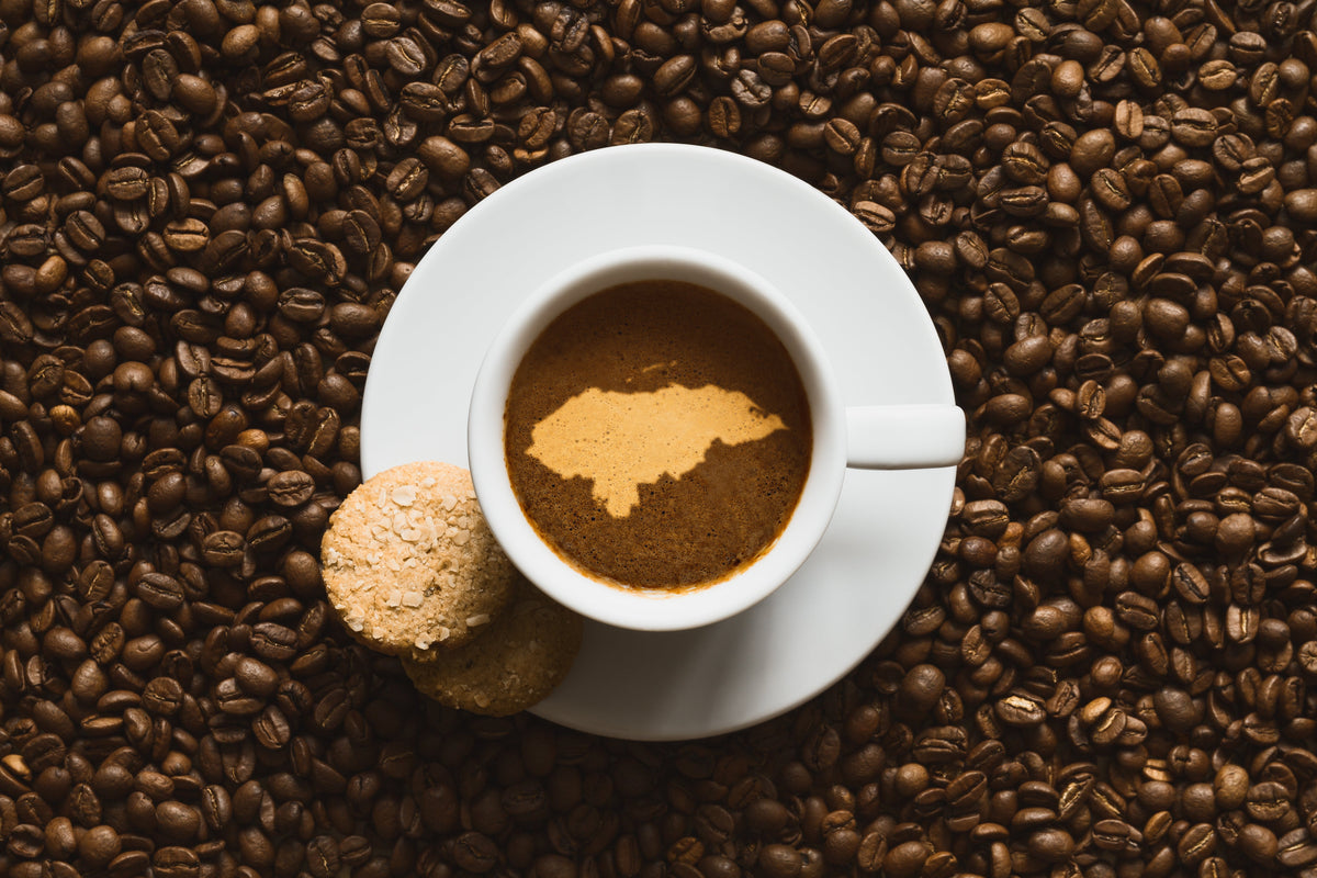 Twenty-Fourth Ave - Espresso Blend